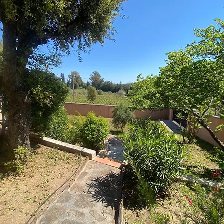 Villa Maison De Vue Sur Les Vignes, Piscine, Trampoline, Ping Pong Et Petanque Cogolin